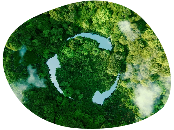 narava