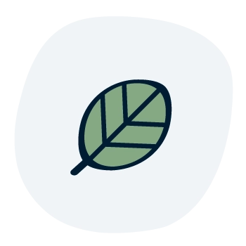 ikona list