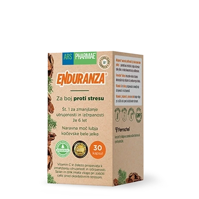 Enduranza